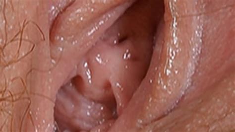 Vagina Photography