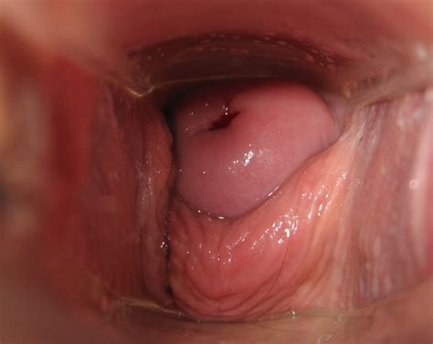 Penis Vagina Penetration