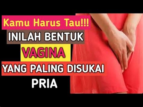 Bentuk Vagina Yang Enak