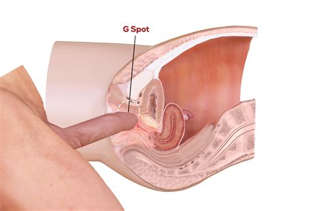 Wanita Telanjang Bulat Dimasuki Kontol