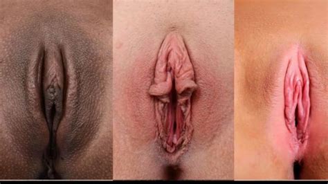 Memek Tembem Hijaber